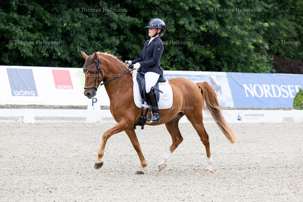 TH_1817 Golden Surprise 5 (GER)_ Lisa von Helldorff_31723 | Elmloher Reitertage 2025 am 01.08.25 in Elmlohe,