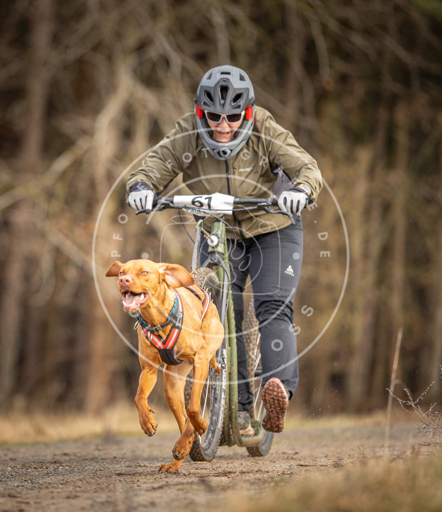 DV3A3513 | Hundefotografie, Tierfotograf, Pfotenfotografie, Fotoshooting Hund, Hunde Portrait, Hundesport, Hundeportraits, Heideshooting, Hunde, Sportfotograf, Hundefotograf, Turnierhundsport, THS,  - Realisiert mit Pictrs.com