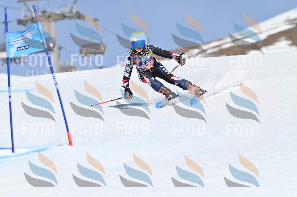 BGV_9699 | holidayphoto