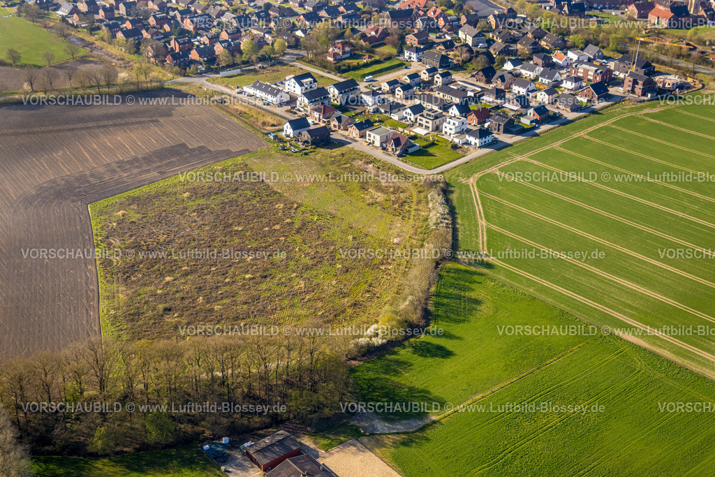 Nordkirchen250400698Suedkirchen | Luftbild, Wiesenfläche, Einfamilienhäuser Baustelle Neubau Wohngebiet Capeller Straße, Ortsansicht Südkirchen, Nordkirchen, Münsterland, Nordrhein-Westfalen, Deutschland