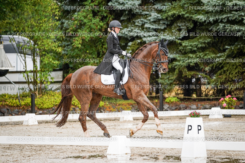 DSC09361 | Pferdegrafie