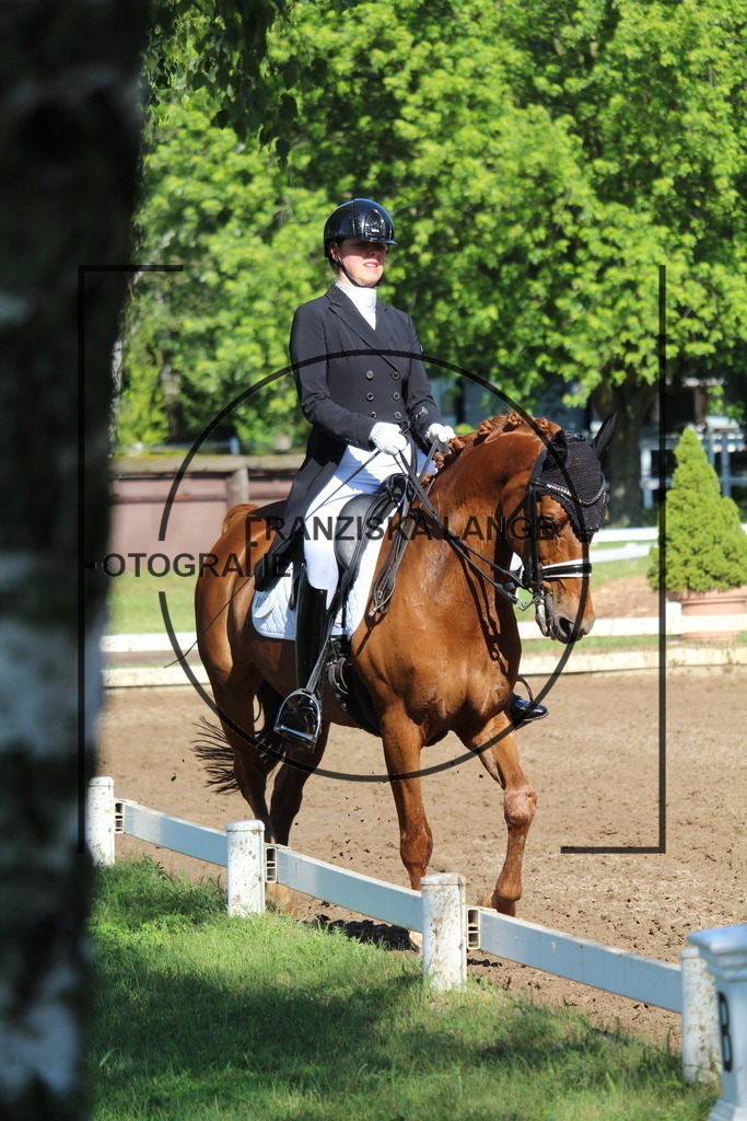 IMG_6466 | franziskalange - Realisiert mit Pictrs.com