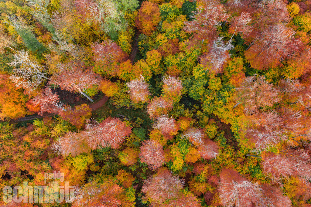 PS-Aerials-2026-63 | Entdecke die größte Bildgalerie der Region mit Fotografien aus dem Allgäu, der Bodenseeregion, Oberschwaben, dem Donautal und der Schwäbischen Alb. Landschaften, Luftaufnahmen und Reisefotografie als Wandbild und Fotokunst. - Realisiert mit Pictrs.com
