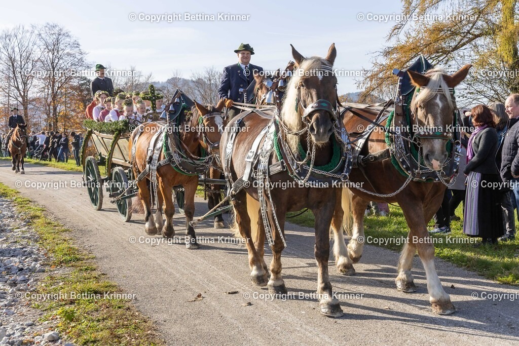 LBT24-1177 | foto-bettina-krinner - Realisiert mit Pictrs.com