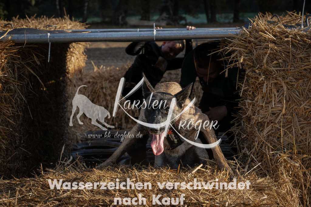 0945_ZZ94444 | kk-dogfotos
