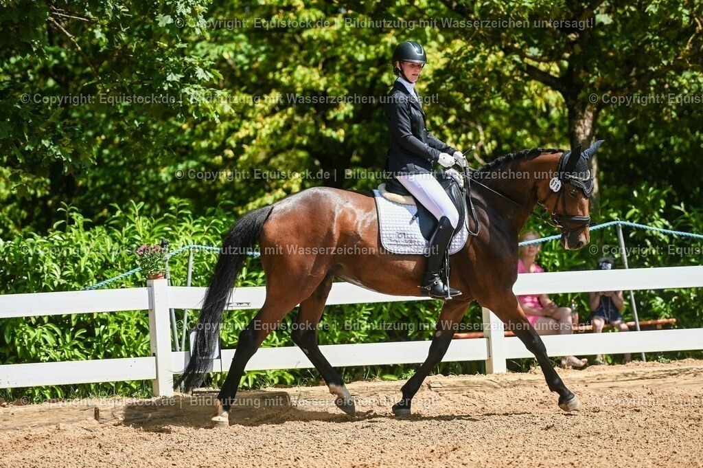 20230715_02_Dressurreiterprüfung Kl.L_0085 | equistock