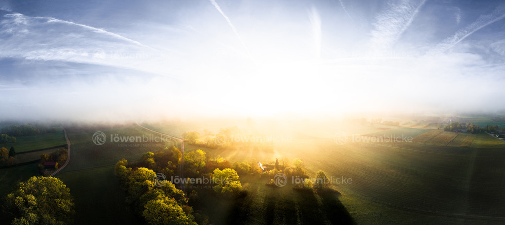 Herbstnebel bei Türkheim | löwenblicke | shop