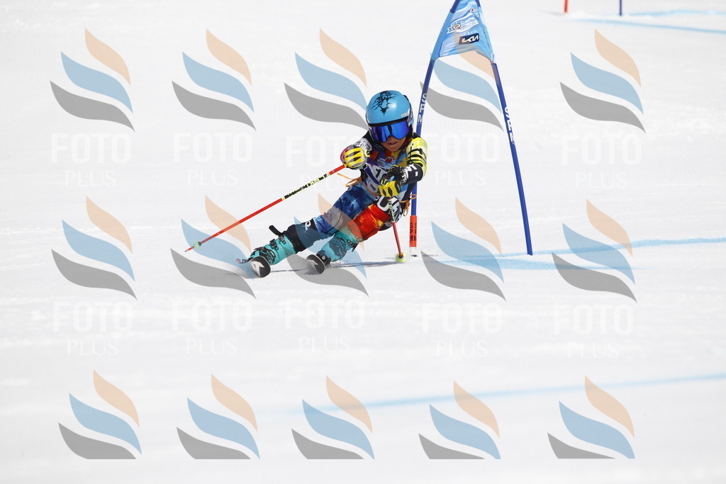 _U3G5007 | holidayphoto