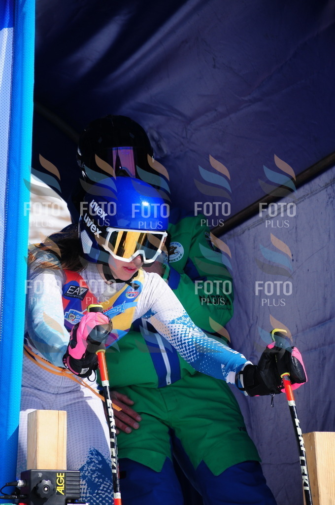 DSC_4425 | holidayphoto