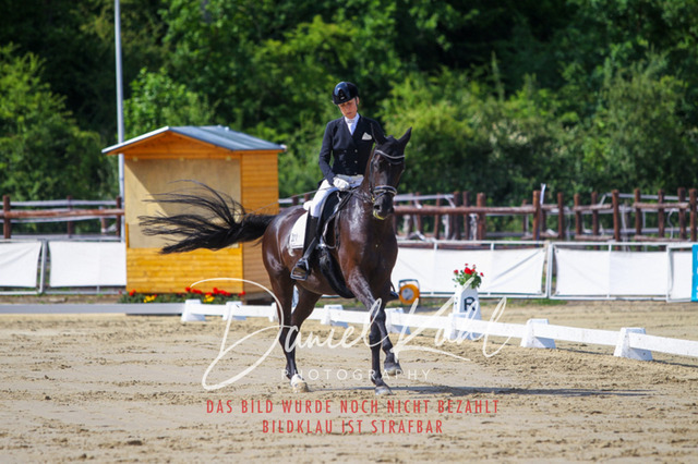 DKP46486 | Turniersportfotografie; Pferdefotografie; Dressurfotografie