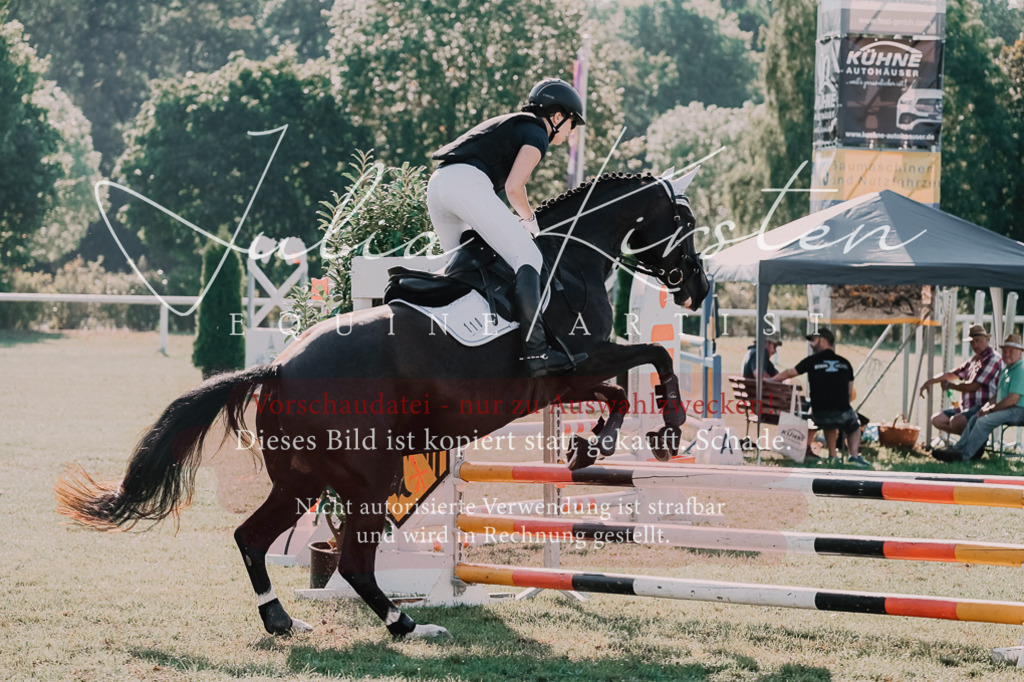 DSC_4829 | Pferde- und Turnierfotografie in Westsachsen. Pferdeportraits, Auftragszeichnungen und intuitive Kunst.