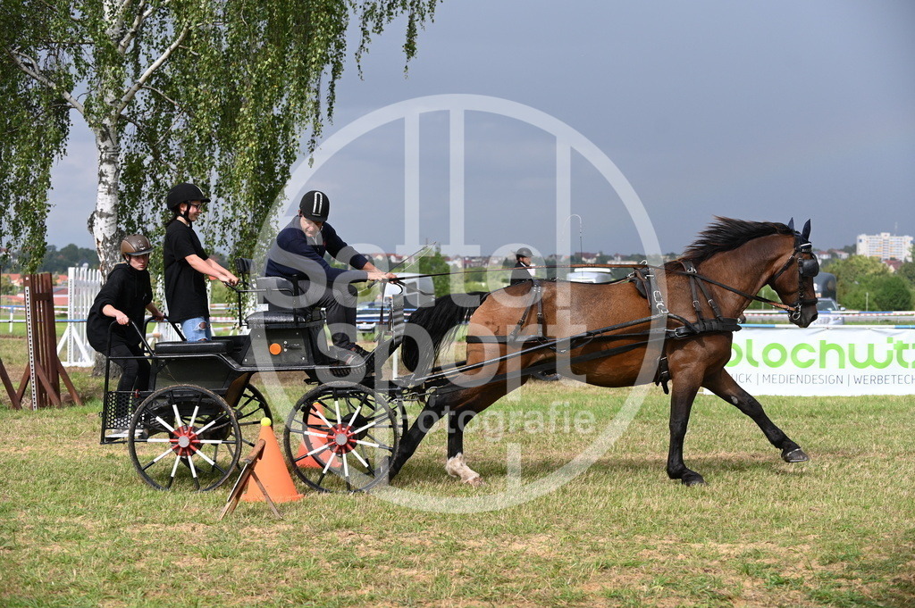 DSC_8936 | sattelsport - Realisiert mit Pictrs.com