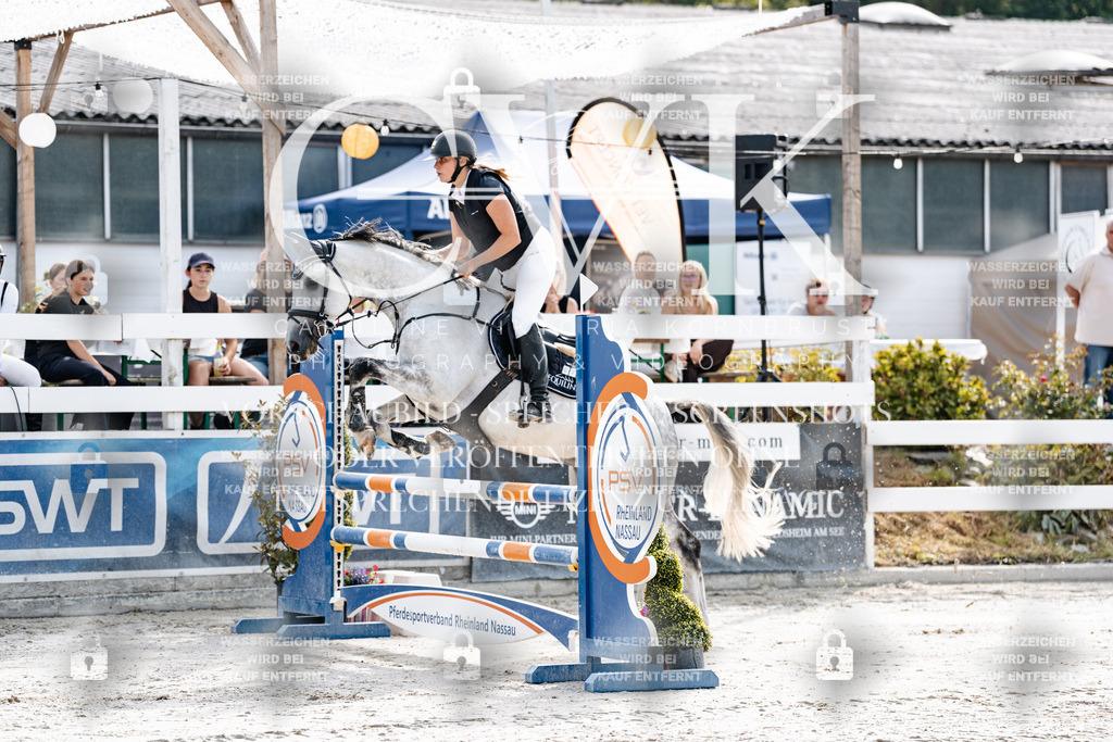 CK905417 | Turnierfotografie Pferdefotografie Trier Rheinland-Pfalz Pferdesport Reitsport Tierfotografie Sportfotografie Pferdevideo Pferdevideografie Equestrianvideography equestrianphotography  - Realisiert mit Pictrs.com