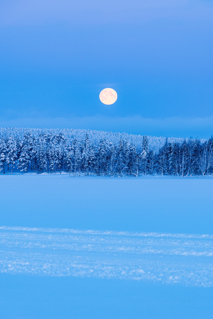 Landschaft im Winter mit Mond und Wald in Äkäslompolo, Finnland | Landschaft im Winter mit Mond und Wald in Äkäslompolo, Finnland.