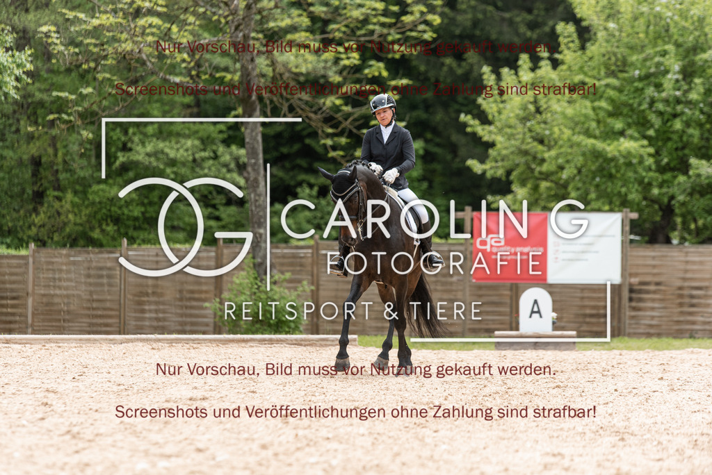 DSC_3201 | Turnierfotografin Carolin Gieschke, Turnierfotografie Carolin G Fotografie, Turnierfotos Kirchheim/Teck, Esslingen, Stuttgart, Bodenseekreis