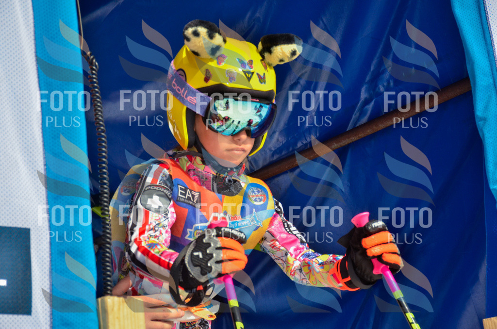 _ELE4703 | holidayphoto