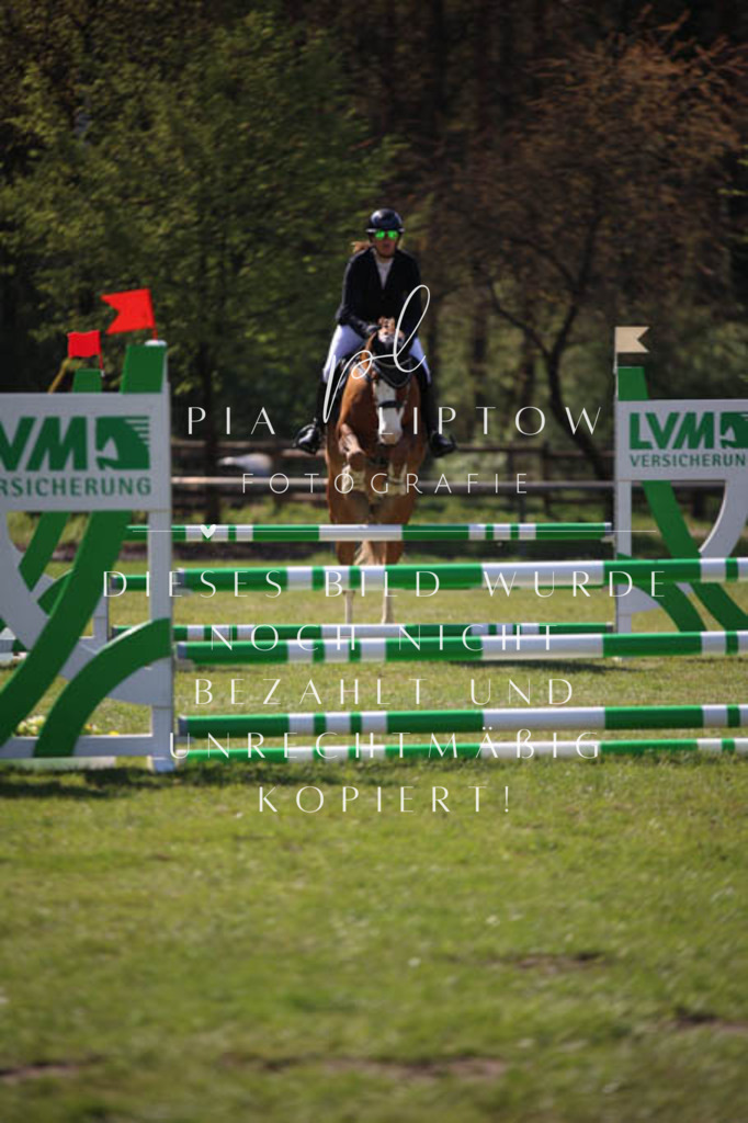 IMGT5622 | pl-fotografie