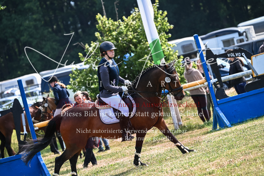 DSC_8002 | Pferde- und Turnierfotografie in Westsachsen. Pferdeportraits, Auftragszeichnungen und intuitive Kunst.