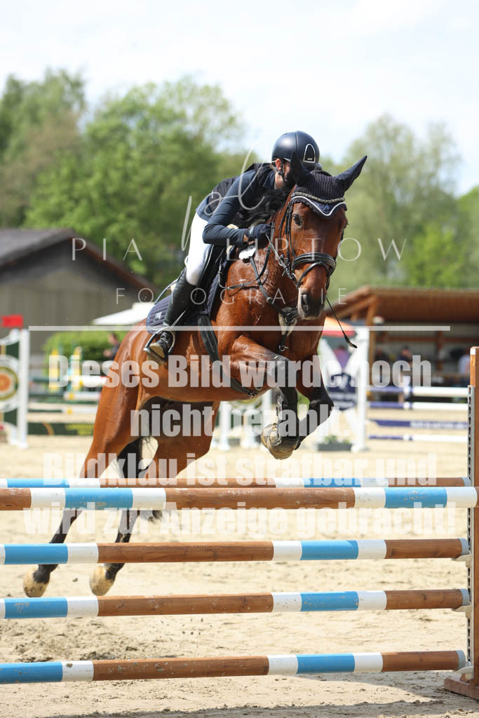 IMGM5788 | pl-fotografie