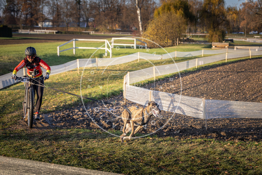 CaniXpix_DV3A0250 | Hundefotografie, Tierfotograf, Pfotenfotografie, Fotoshooting Hund, Hunde Portrait, Hundesport, Hundeportraits, Heideshooting, Hunde, Sportfotograf, Hundefotograf, Turnierhundsport, THS,  - Realisiert mit Pictrs.com