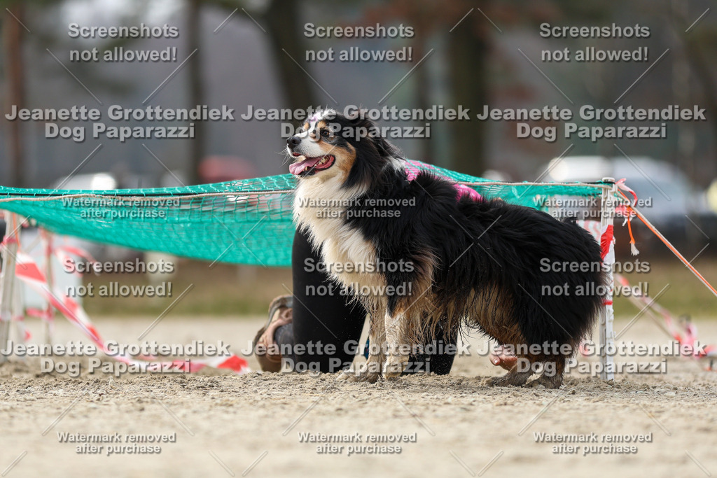 Dog Paparazzi - Strongdog North Mrz26-5537 | Dog Paparazzi Jeanette Grottendiek Fotografie & Videografie - Realisiert mit Pictrs.com