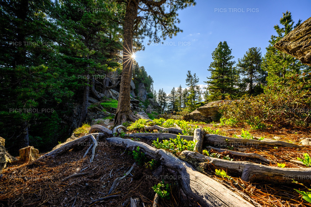 DSC_1263-HDR-Bearbeitet | Tirolpics