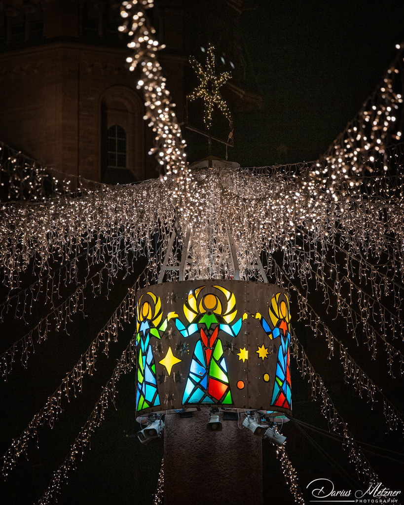 DSC_6902 2 | Fotografien, Fotos und Bilder aus Mainz, Frankfurt, Wiesbaden und anderen Orten auf der Welt - Fotografiert von Darius Metzner