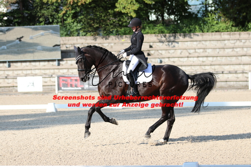 IMG_8842 | lmwpictures - Realisiert mit Pictrs.com