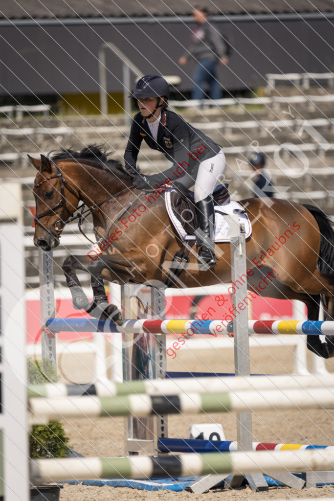 IMG_5164 | Sport-, Event- und Tierfotos in Profiqualität. Einfach auswählen, bestellen und herunterladen. Dein Moment – perfekt festgehalten.