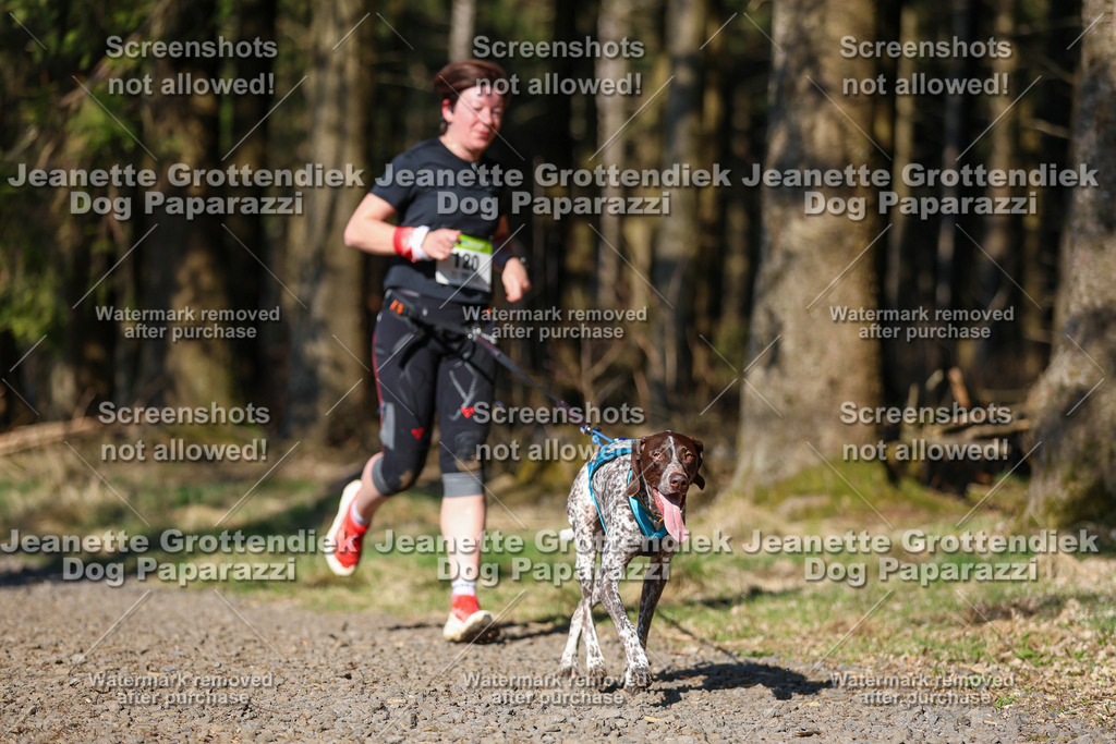 Dog Paparazzi - VCC26-40 | Dog Paparazzi Jeanette Grottendiek Fotografie & Videografie - Realisiert mit Pictrs.com
