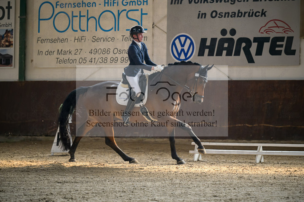 Reitturnier Voxtrup | Entdecke hochwertige Reitturnierfotos von Foto Oger. Professionell, emotional und authentisch – jetzt Lieblingsmomente im Shop bestellen.Deutschlandweite Turnierfotografie. - Realisiert mit Pictrs.com