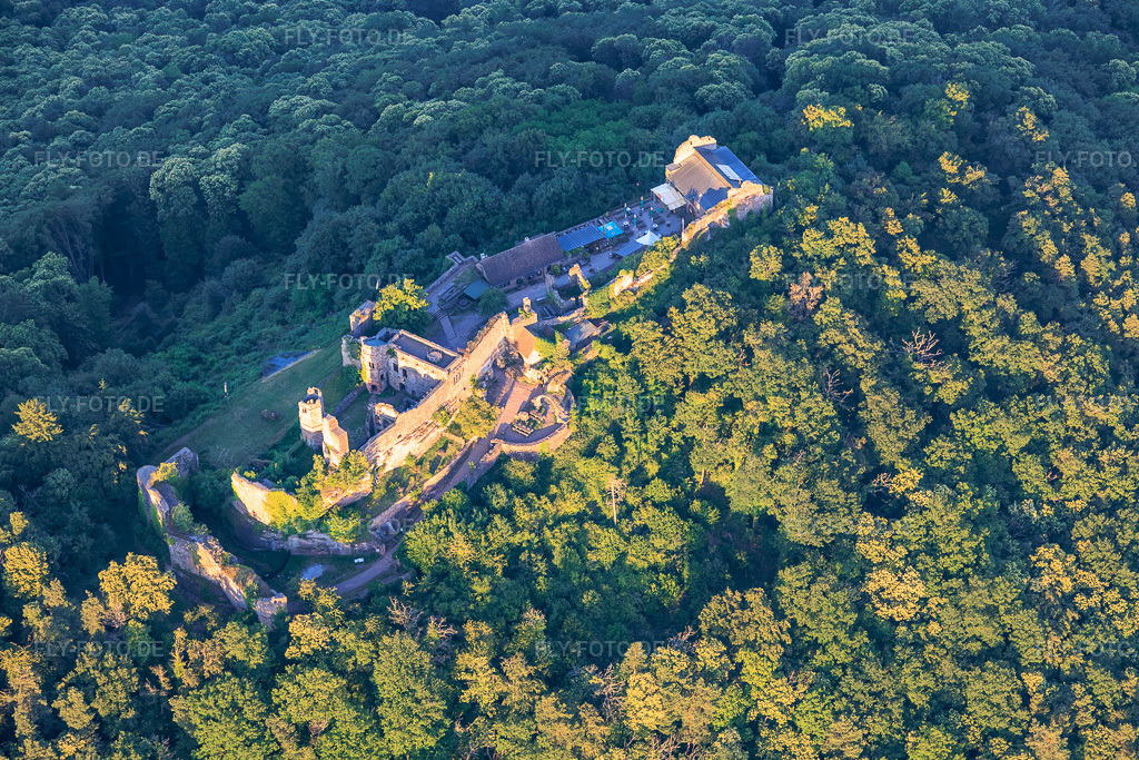 Luftbild: Burgruine Madenburg aus Westen in Eschbach im Bundesland Rheinland-Pfalz in Deutschland. – Foto: IMG_157778.jpg vom 18.06.2026 durch Werner Riehm/FLY-FOTO.de – Auflösung des Originals: 5798 x 3865 px