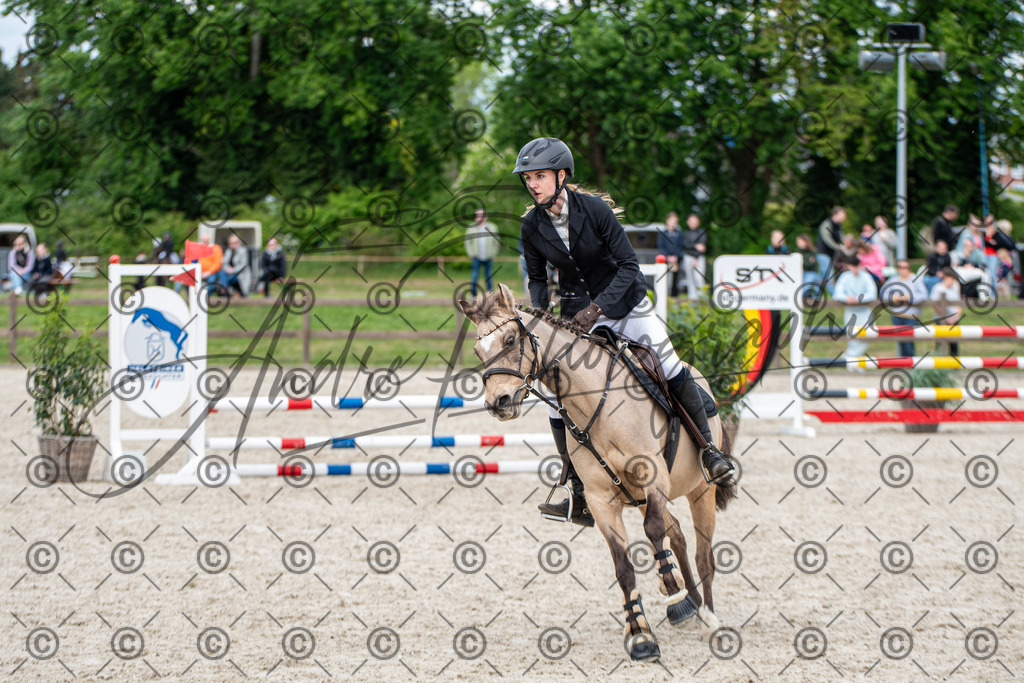 KPT_6270 | andre_photographic