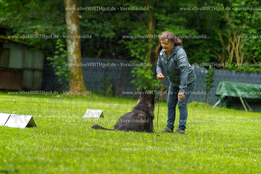 @allesWIRTHgut_Tierfotografie - www.allesWIRTHgut.de - 135642-7R500221 | Professionelle Tierfotografie in Mönchengladbach von Daniel Wirth (allesWIRTHgut). Liebevolle & natürliche Bilder von Hunden & Katzen für unvergessliche Erinnerungen.