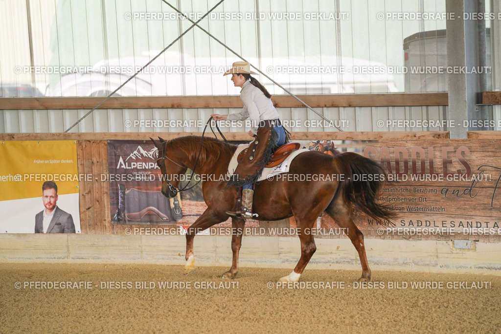 DSC01558 | Pferdegrafie