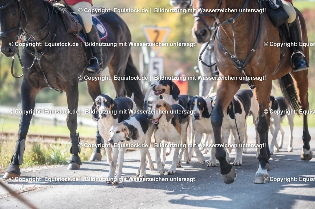 20251011_Jagd-Marbach_0465 | Foto: Thomas Hartig