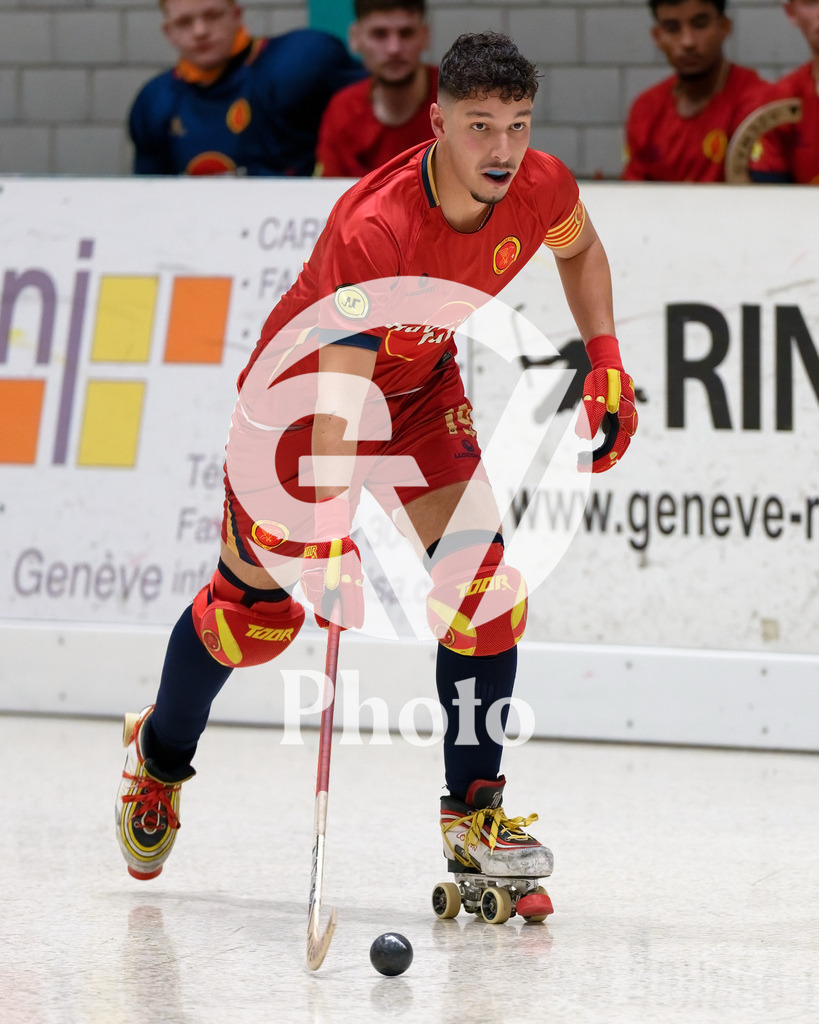 LNA - Geneve RHC v RC Biasca |  during the LNA match between Geneve RHC and RC Biasca at Centre Sportif Queue D'Arve in Geneve, Switzerland
