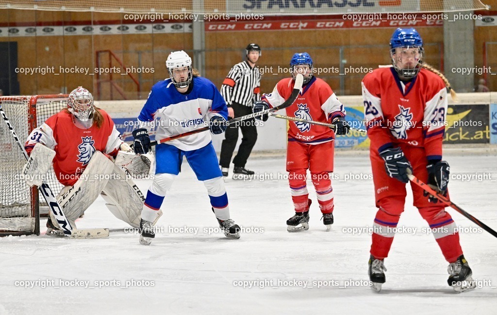 Z9B_7513 | hockey sports photos, Pressefotos, Sportfotos, hockey247, win 2day icehockeyleague, Handball Austria, Floorball Austria, ÖVV, Kärntner Eishockeyverband, KEHV, KFV, Kärntner Fussballverband, Österreichischer Volleyballverband, Alps Hockey League, ÖFB, 