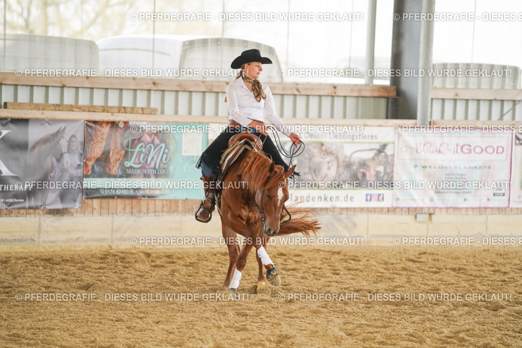 DSC06115 | Pferdegrafie