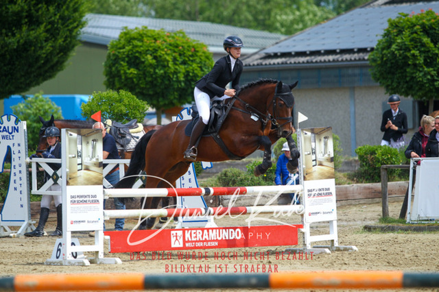 DKP41648 | Turniersportfotografie; Pferdefotografie; Dressurfotografie