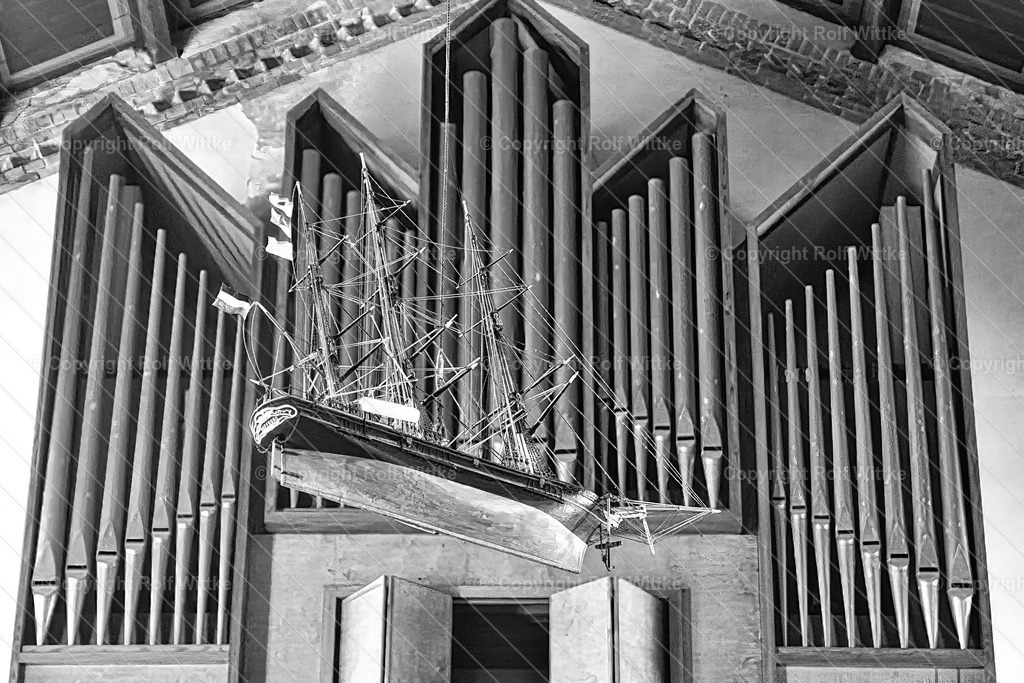 1D3A6784 | Rolf Wittke  - Realisiert mit Pictrs.com