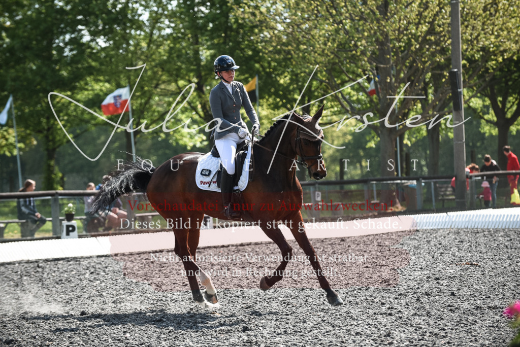 DSC_8968 | Pferde- und Turnierfotografie in Westsachsen. Pferdeportraits, Auftragszeichnungen und intuitive Kunst.