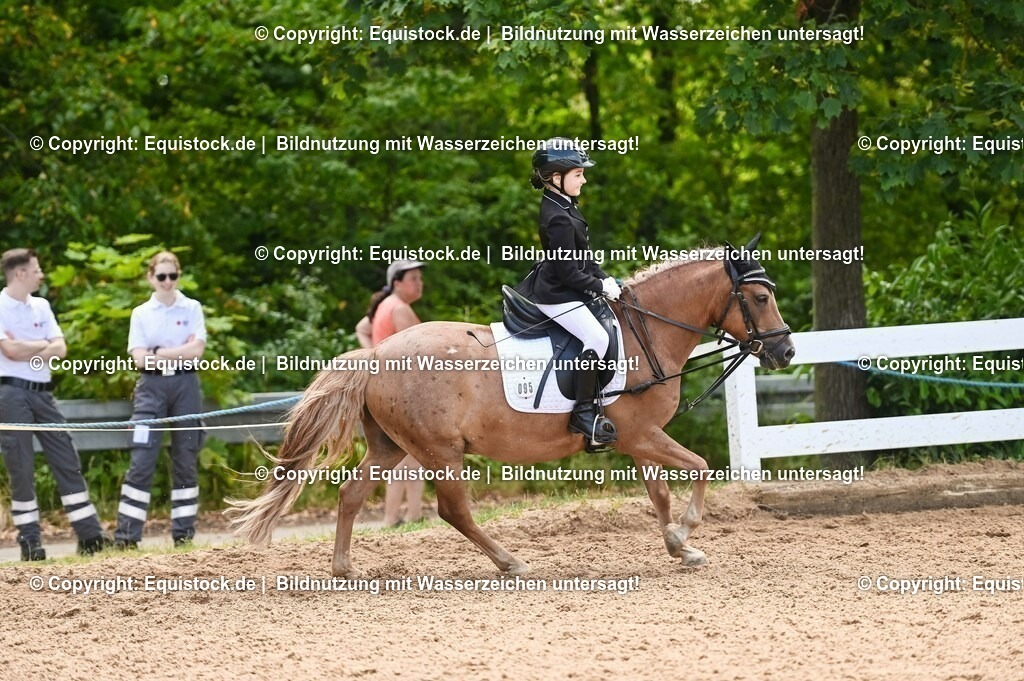 20230716_10-3_Reiter-WB Schritt - Trab - Galopp_0183 | equistock