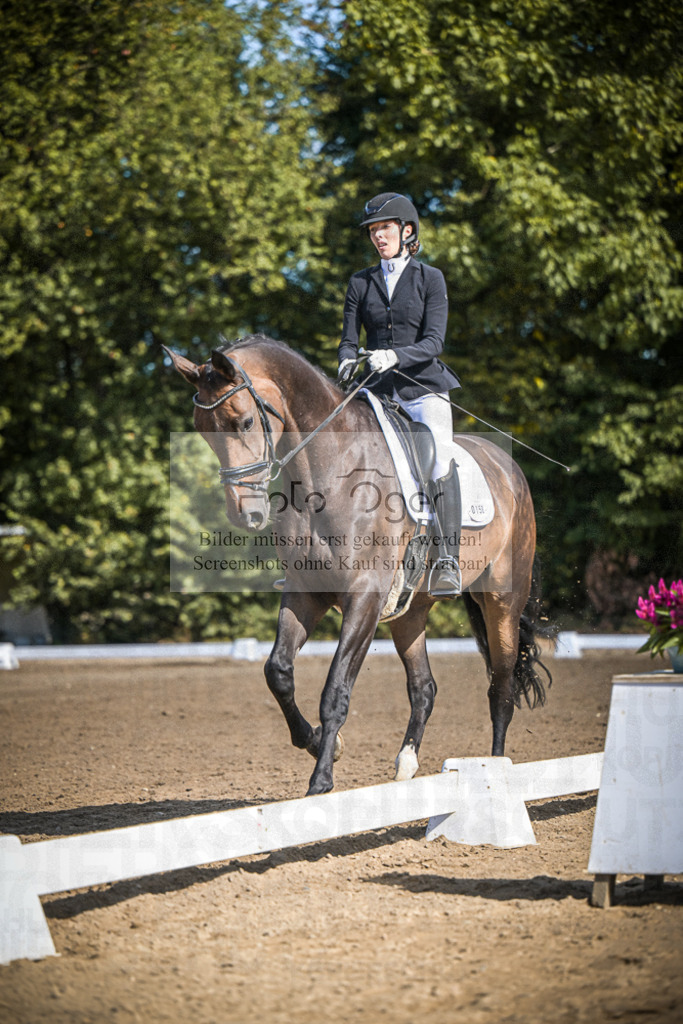 DOS_3349 | Entdecke hochwertige Reitturnierfotos von Foto Oger. Professionell, emotional und authentisch – jetzt Lieblingsmomente im Shop bestellen.Deutschlandweite Turnierfotografie. - Realisiert mit Pictrs.com