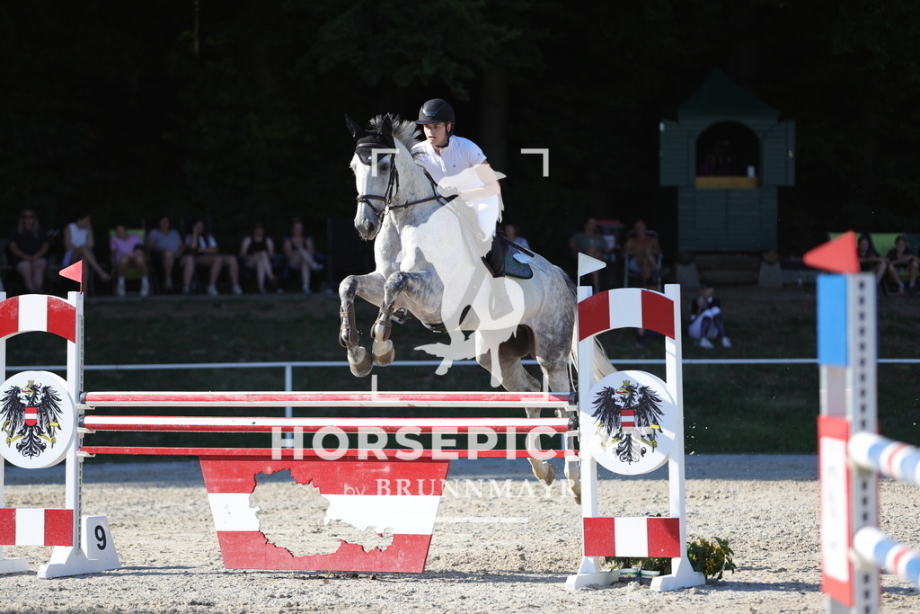 0P6A7868 | Willkommen bei Brunnmayr - Design & Fotografie – Ihrem Spezialisten für Reitturniere und Pferdeveranstaltungen in Oberösterreich, Salzburg und Bayern! Seit über 17 Jahren sind wir leidenschaftlich dabei.