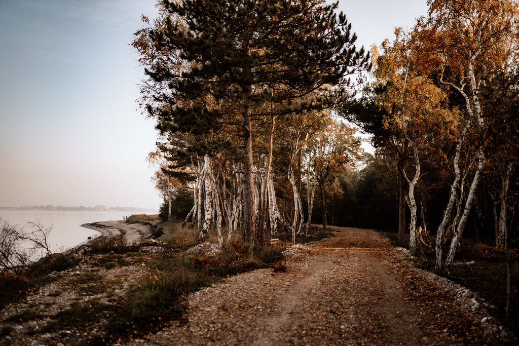 Dänemark im Herbst | Print Shop 
Fotografie
Posterdruck
Landschaftsfotografie
Reisefotografie
Naturfotografie
Anja Brandes Poster 
Anja Brandes Photography 
Prints for Walls 
Printable 
Posterdrucke
Poster aesthetic 
Poster Wall 
Poster Prints 
Poster schwarz weiß - Realisiert mit Pictrs.com