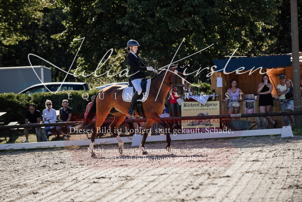 DSC_0331 | Pferde- und Turnierfotografie in Westsachsen. Pferdeportraits, Auftragszeichnungen und intuitive Kunst.