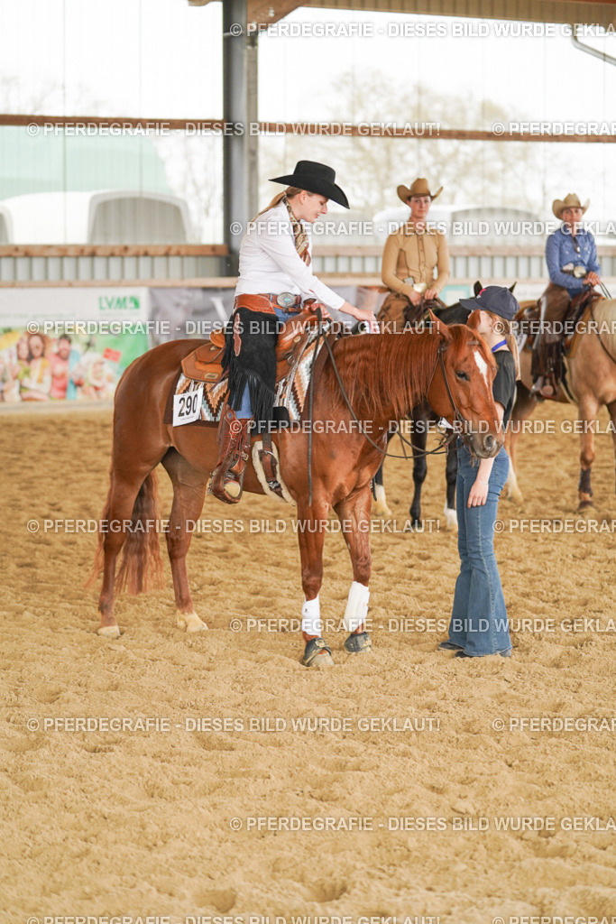 DSC06470 | Pferdegrafie