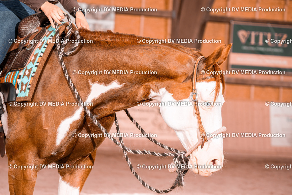 NE300584 | dv-media-shop - Realisiert mit Pictrs.com