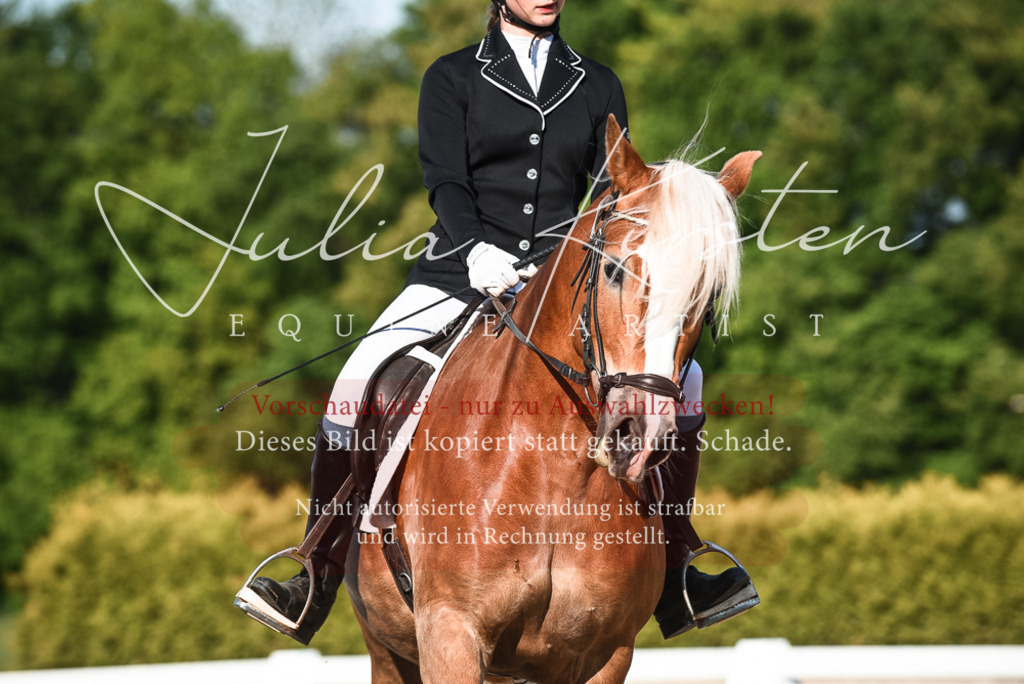 20230518_JK-Röhrsdorf-12-0920 | Pferde- und Turnierfotografie in Westsachsen. Pferdeportraits, Auftragszeichnungen und intuitive Kunst.
